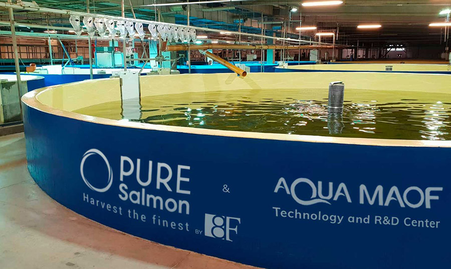 ADIO to help establish Pure Salmon's global headquarters in Abu Dhabi