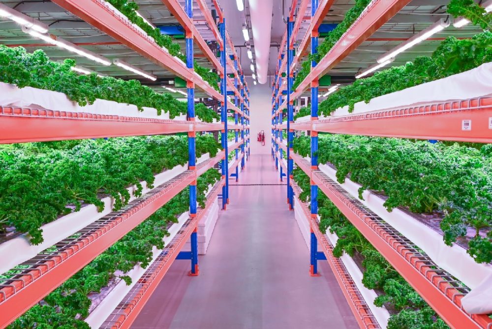 Tech enabled Bustanica, the world’s largest vertical farm now in Dubai